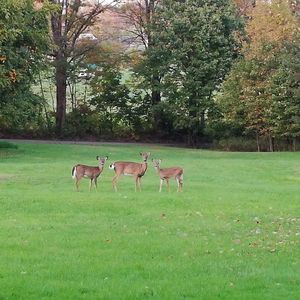 Meet your Posher, Warda